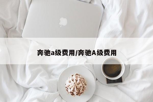 奔驰a级费用/奔驰A级费用